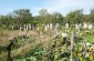 The surviving tombstones at the Jewish cemetery in Nepolokivtsi. ©Les Kasyanov/Yahad - In Unum.