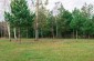 The killing and burial site at the former Ostrów Lubelski Jewish cemetery, where several dozen Jews were killed and/or buried by the Germans in 1942. ©Les Kasyanov /Yahad - In Unum