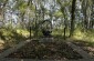 Execution site near today’s football field © Markel Redondo - Yahad-In Unum