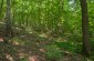 The killing and burial site in Wólka Olbięcka where a Jewish woman and her child were shot by a gendarme in 1942 and buried on the spot. ©Les Kasyanov/Yahad - In Unum