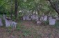 The territory of the Jewish cemetery in the middle of the forest that still exists. ©Les Kasyanov/Yahad-In Unum