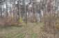 The location of the mass grave where according to the Soviet archives 407 Jews were buried. © Les Kasyanov/Yahad-In Unum