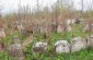 The surviving Jewish cemetery in Tuchyn. ©Les Kasyanov/Yahad - In Unum