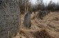 The Jewish cemetery of Adutiškis. ©Kate Kornberg/Yahad - In Unum
