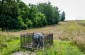 The killing site in Tymin, where at least five members of a local Jewish family, including two young children, were shot by the Germans in 1942. The victims’ bodies were buried in the nearby field. ©Piotr Malec/Yahad - In Unum