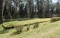 The execution site in the Velniaduobė Forest near Bajorai village, where 3,207 Jews of Rokiškis and surrounding area were murdered and buried in 8 mass graves on August 15 & 16, 1941. ©Cristian Monterroso/Yahad - In Unum