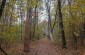 One of the mass graves located in the woods, where 1,240 Jews were murdered on January 16, 1942. ©Les Kasyanov/Yahad - In Unum.