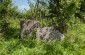 The local Jewish cemetery with a few remaining tombstones. ©Les Kasyanov/Yahad - In Unum