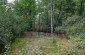 © Guillaume Ribot - Yahad-In Unum Execution site in the forest where the Jews were killed. In all there are three mass graves located one close to another. Mass grave n°3. © Les Kasyanov/Yahad – In Unum