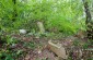 The surviving tombstones at the Kosiv Jewish cemetery. ©Les Kasyanov/Yahad – In Unum