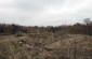 The silo pit in Novopavlivka where several dozen Jewish victims shot by Romanian gendarmes were placed and burned. Today, the location remains a vacant lot without memorial. ©Markel Redondo/Yahad-In Unum
