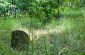 Jewish cemetery in Zarevezhye. © Aleksey Kasyanov/Yahad - In Unum