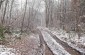 According to a local villager who put the commemorative board, some Jews were killed at this site. The shooting site is located in the same forest as the main execution site, but on the opposite edge. ©Les Kasyanov/Yahad - In Unum