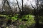 The former Jewish cemetery. ©Les Kasyanov/Yahad - In Unum