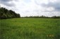 The site of the mass murder of Jews in Kamyanka Buzka. 500 Jews from the nearest town of Radekhiv were shot here in September 1942. © Granted by Fred Blum