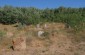 Old Jewish cemetery in Bershad. ©Les Kasyanov/Yahad - In Unum