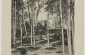 Birutės hill, photograph of Pauline Mongird, published in 1916 © Public domain