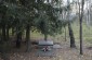 The killing site of over 2,000 people, located in the forest near Żebry-Chudek. The victims’ corpses  were exhumed in 1944 by the Germans and transported to an unknown location to conceal the crime. ©Markel Redondo/Yahad - In Unum