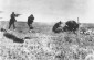 Un policía alemán apuntando con su rifle a una mujer judía y su hijo. Ivangorod, 1942 © Yad Vashem Photo Collection 143DO5