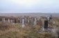 An old Jewish cemetery in Chorny Ostriv with the last known burial taking place in the 1980s. ©Les Kasyanov/Yahad – In Unum