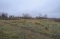 The murder site located near an old Jewish cemetery. According to the Soviet archives, there were six mass graves at the site. ©Les Kasyanov/Yahad-In Unum