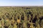 Drone view of the forest where the massacre took place. ©Les Kasyanov/Yahad – In Unum