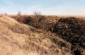 The killing site in the ravine near Kolosivka where 770 Jews were shot during the night of February 17, 1942. The following day, the victims' bodies were burned. ©Markel Redondo/Yahad - In Unum