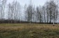 View of the execution site of the Jewish victims. The Jews were killed here near the Belarusian border in an anti-tank trench ©Nicolas Tkatchouk –Yahad-In Unum