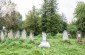 The surviving tombstones at the Jewish cemetery in Pechera. ©Les Kasyanov/Yahad - In Unum.