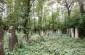 The surviving tombstones at the Jewish cemetery in Pechera. ©Les Kasyanov/Yahad - In Unum.